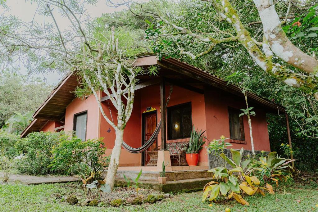 Lodge Mirador - Great Swimming Pool - Kitchen - Bbq - Netflix Tajo Alto Exterior photo